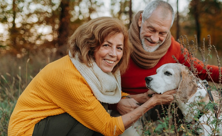 Illustratie stel met hond