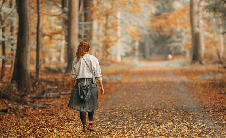 boswandeling-in-de-herfst